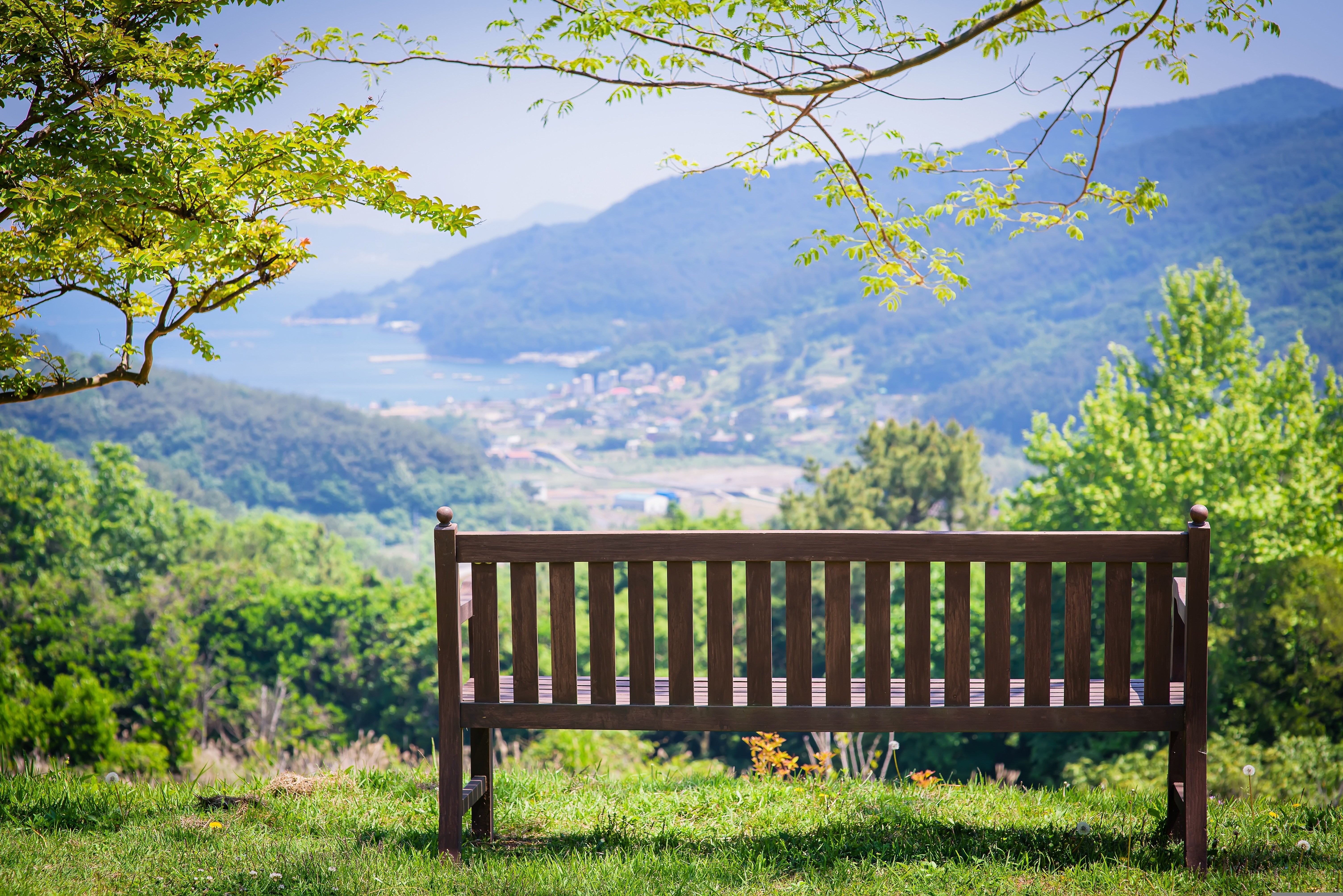 Foto: Bank in grüner Landschaft
